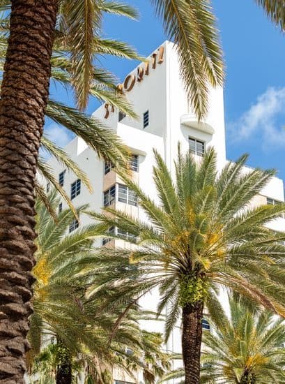 Best Hotels Near PortMiami Palm Trees in View of Hotel