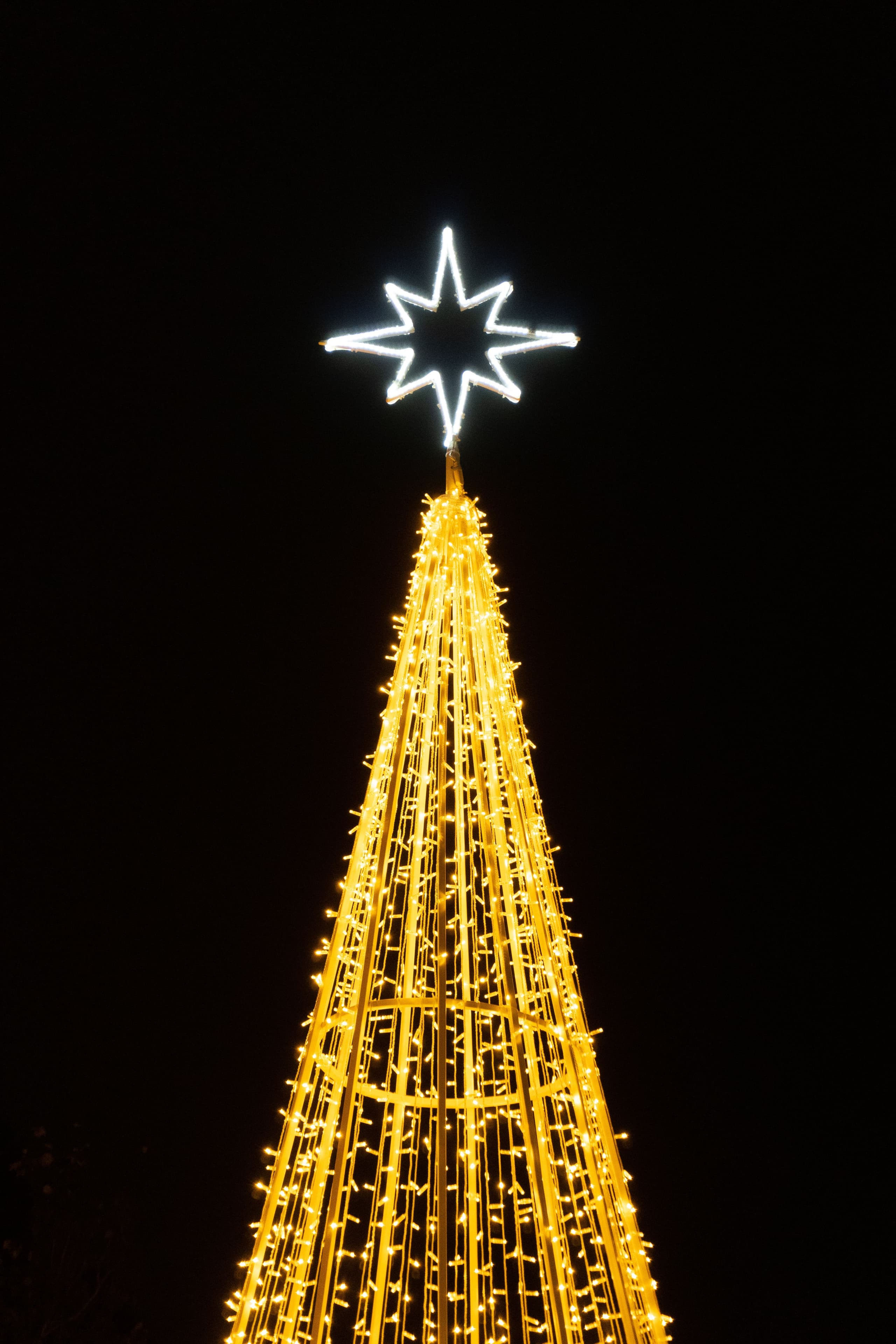 Christmas Tree Lights Image