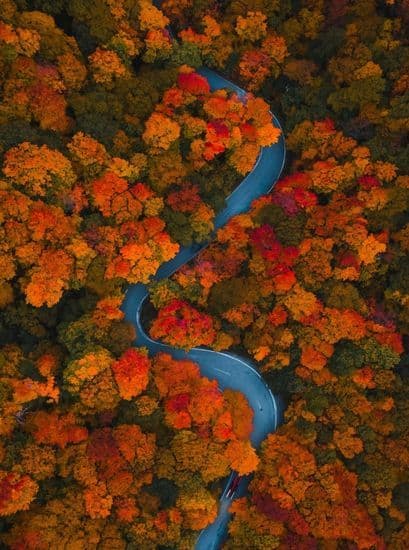 Fall Foliage Guide 2026 Aerial View of Red Leaves in New England