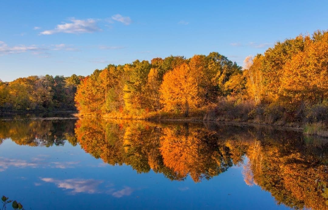 Fall Foliage Guide 2026 New England Foliage by the Water