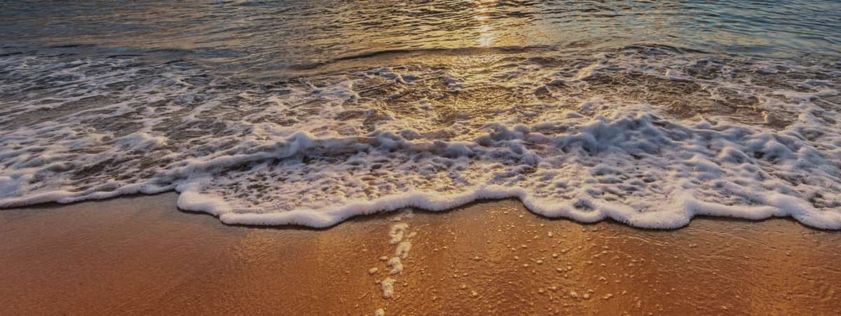 Spring Break Safe Travel Guide