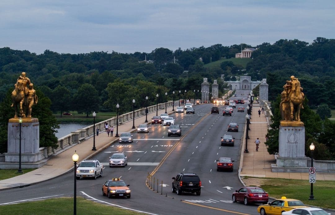 arlington bird view