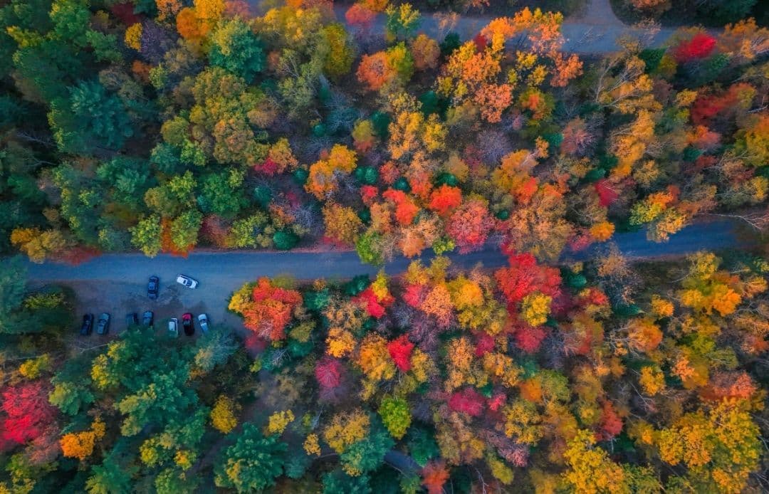 fall birds eye view
