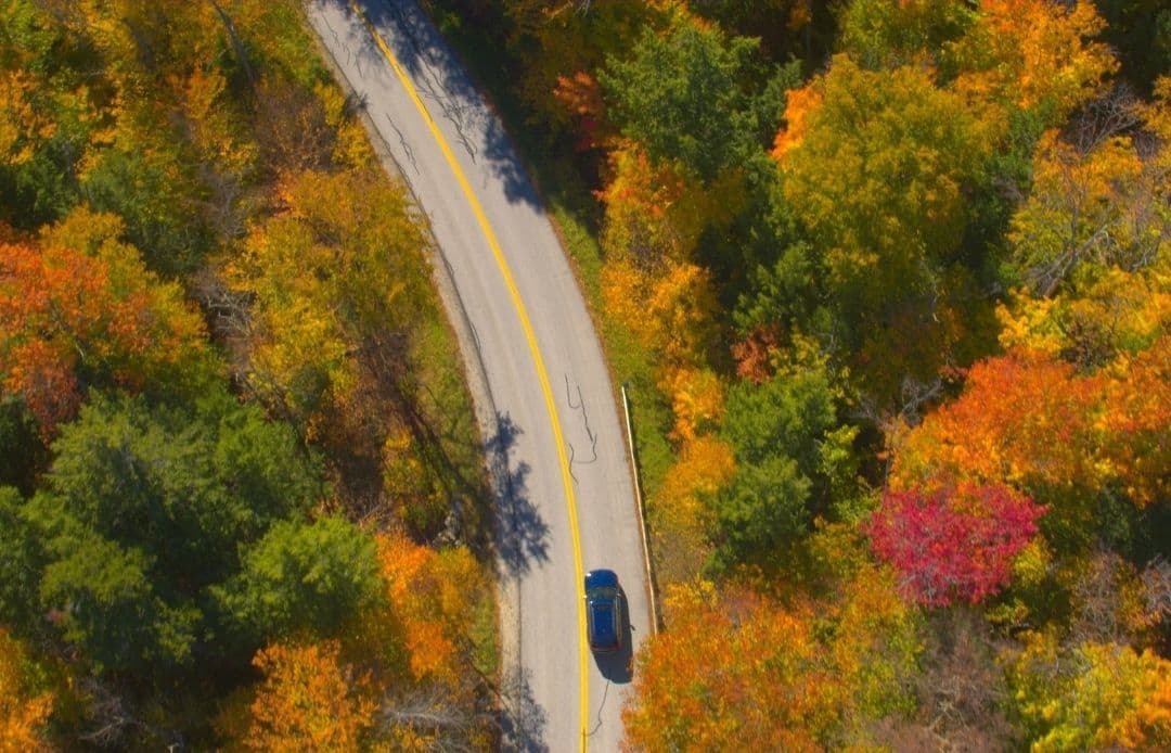 fall season birds eye