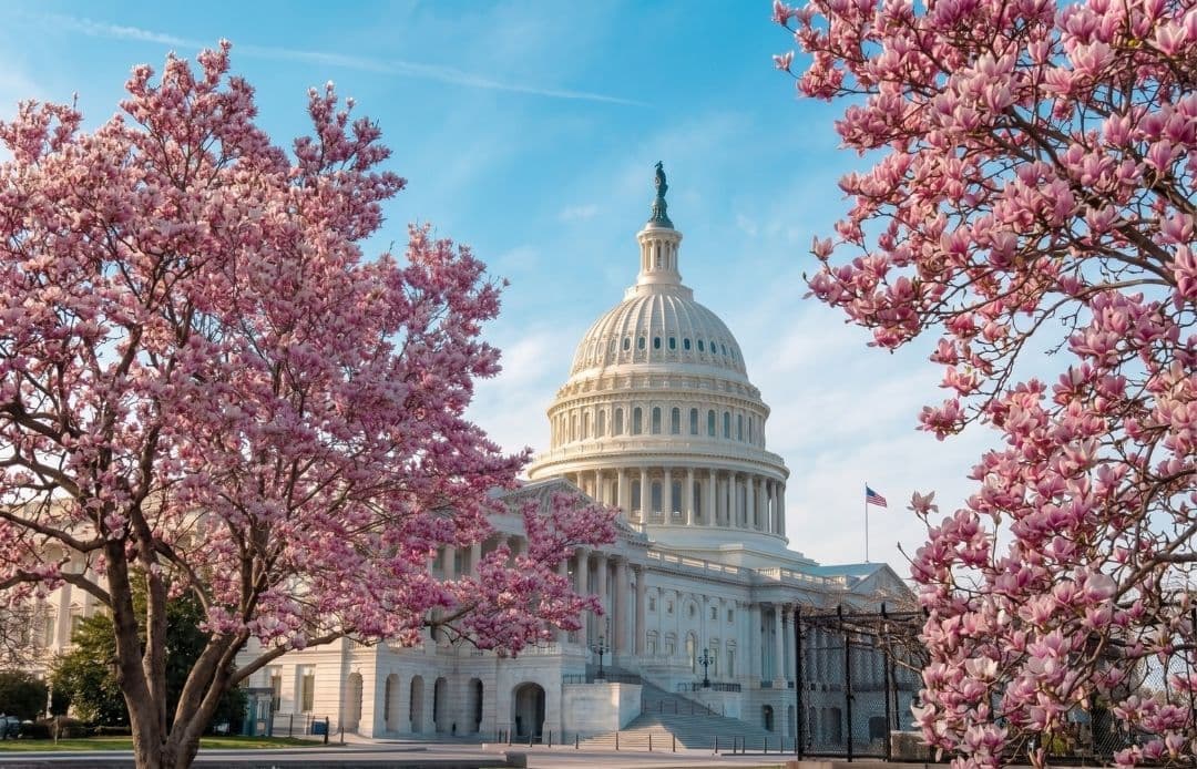 things to do in dc
