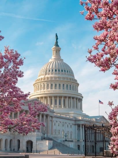 things to do in dc pt 2