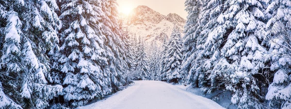 10 Winter Wonderland Destinations in the U.S. Perfect for Holiday Adventures