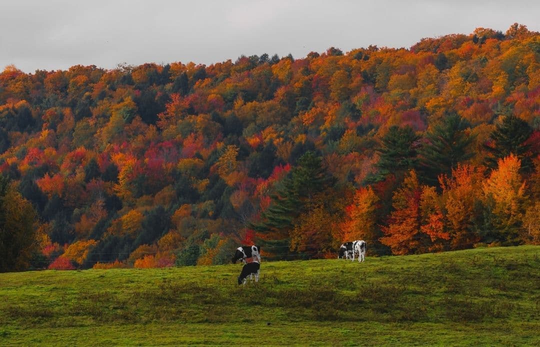 Best Fall Weekend Getaways from Boston 2026 New England Foliage in Autumn