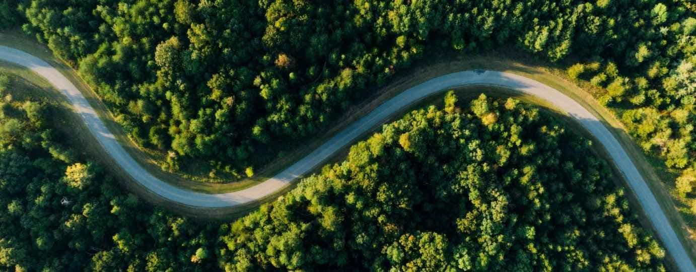 Book Executive Travel Sustainably