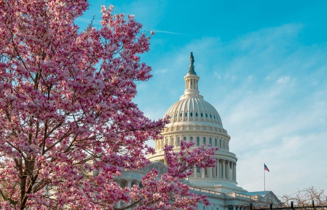 Capitol Hill DC Car Service | LUXY Ride