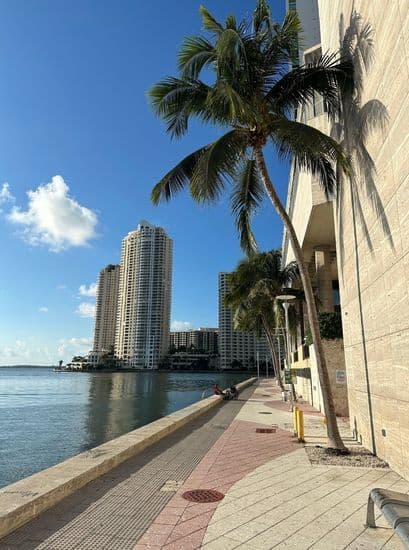 Car Service to Port of Miami Miami by the Water Side