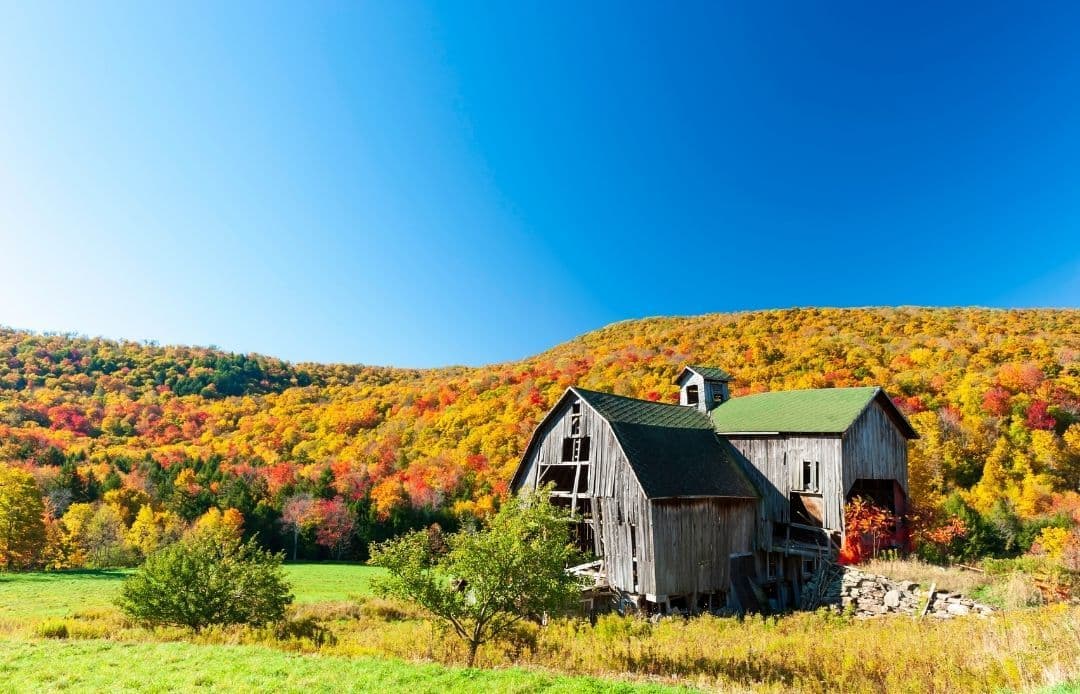 Catskills Fall Car Service 2026 Barn in Catskills Surrounded by Changing Leaves