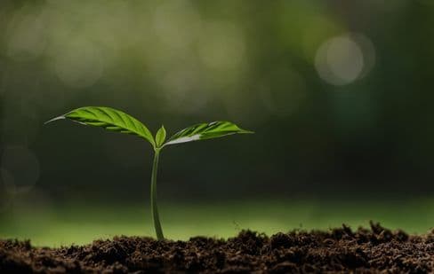 LUXY Donates For Each Ride Booked