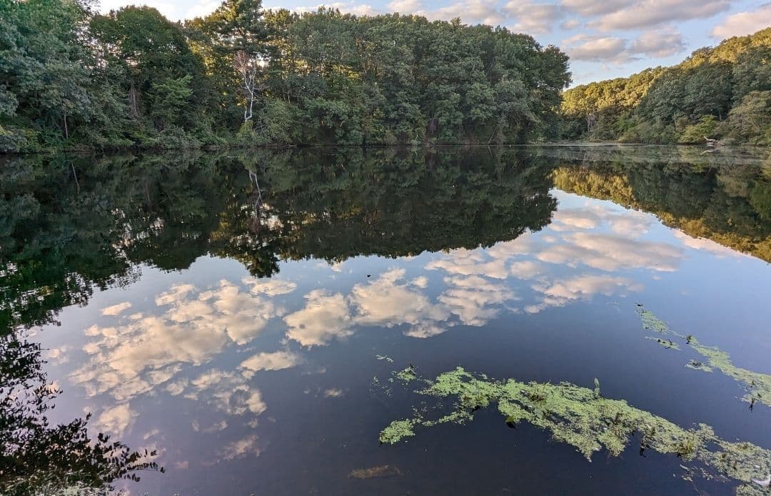 Logan Airport to Wellesley Car Service Wellesley Pond