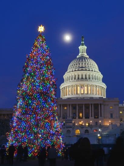 Washington DC Holiday Car Service Tree at Capitol Building