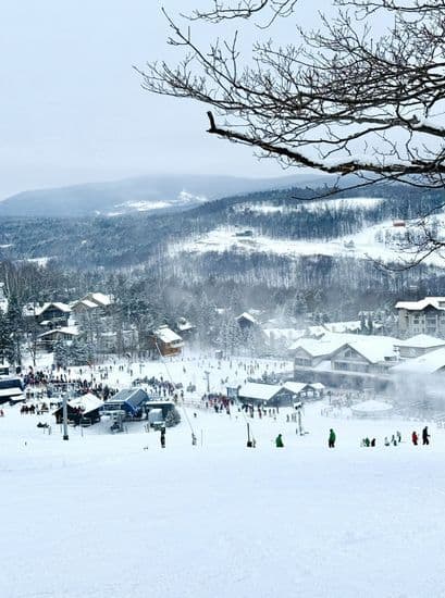 Windham Catskills Vertical