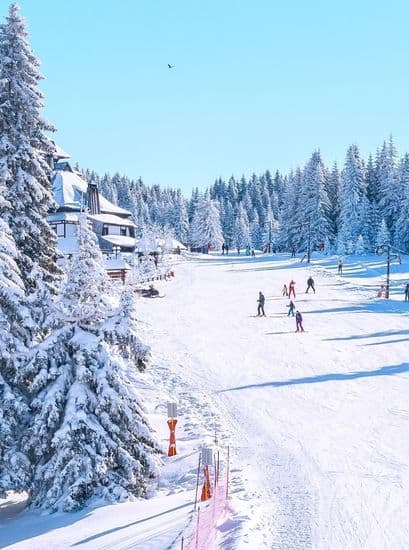 Winter 2026-2027 Travel and Event Transportation Guide Ski Mountain View