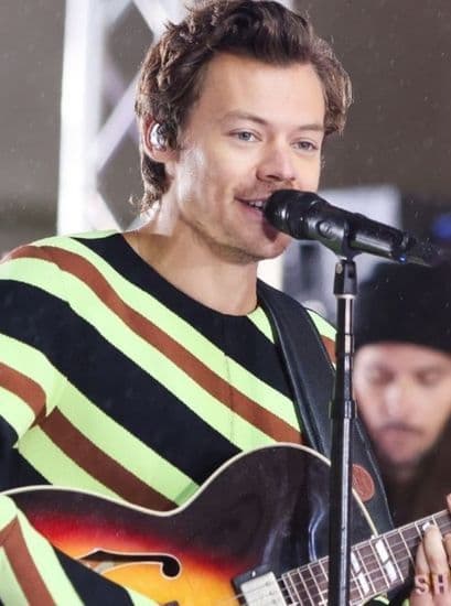 harry performing vertical