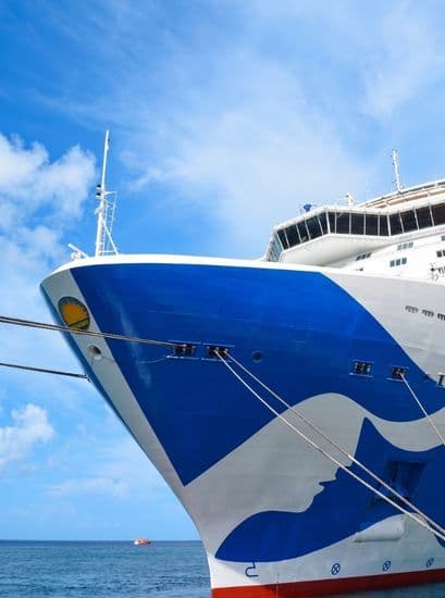 princess cruises close up