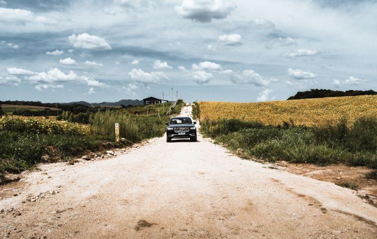 Black Car Service arriving amidst a green road