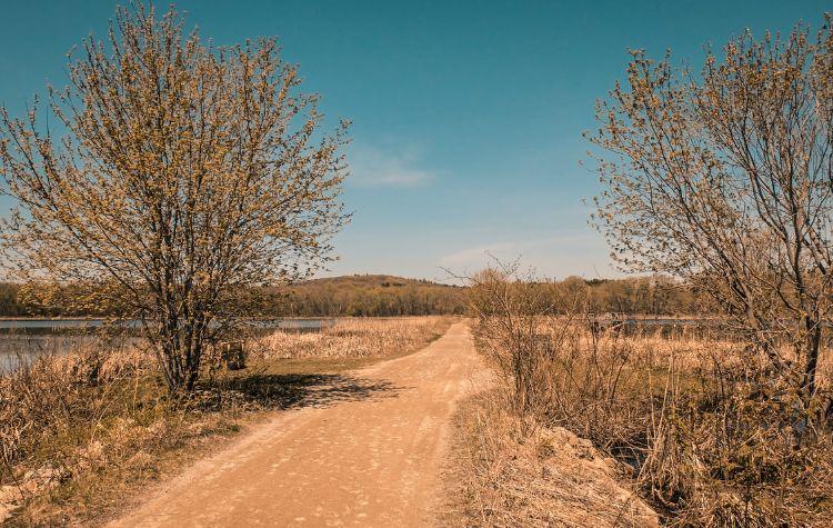 Path in Great Meadows National Wildlife Refuge