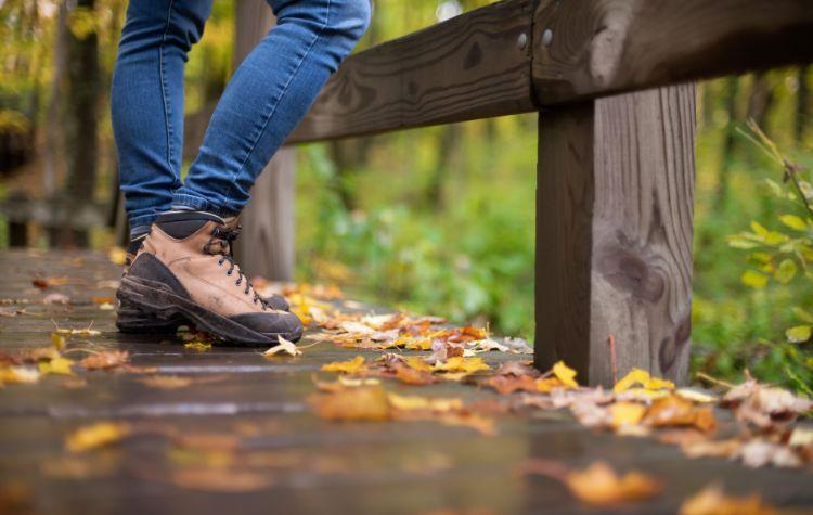 Person standing on a bridge in fall