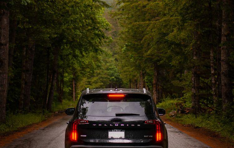 A black car driving in the lush green lane of forest