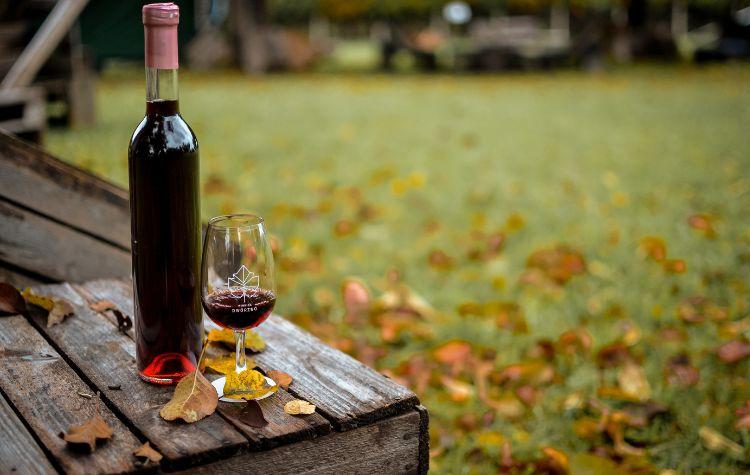 Winery in Fall